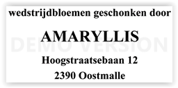 50 amaryllis